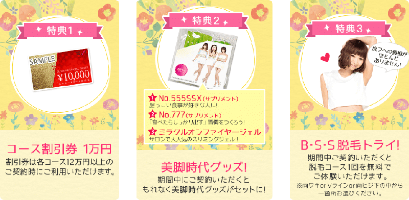 エルセーヌ 555SSX スティックプラス こだわら サプリメント 1箱