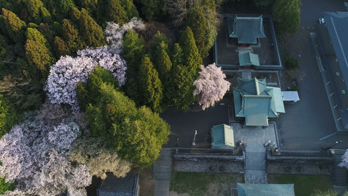 本殿と拝殿の空撮写真
