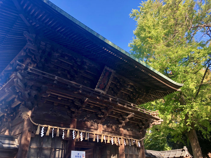 随神門②の写真