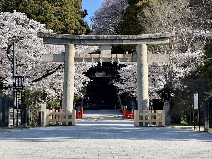 鳥居の写真