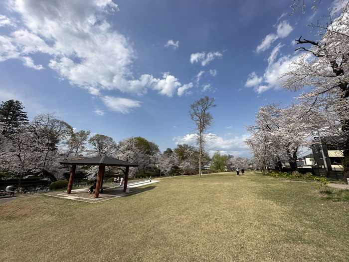 公園①の写真