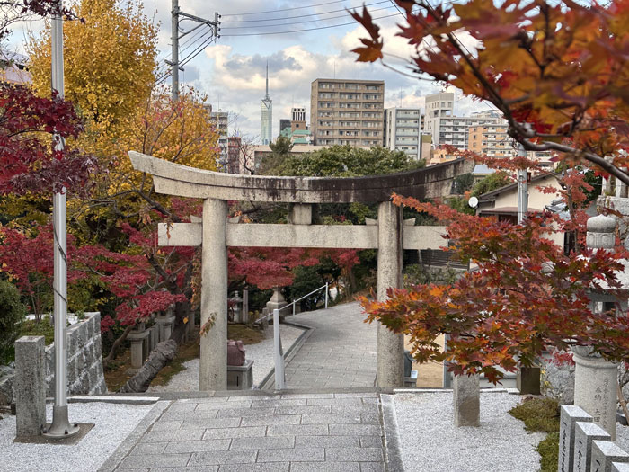 境内紅葉①の写真