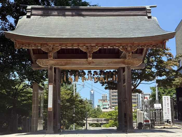 境内からの眺めの写真