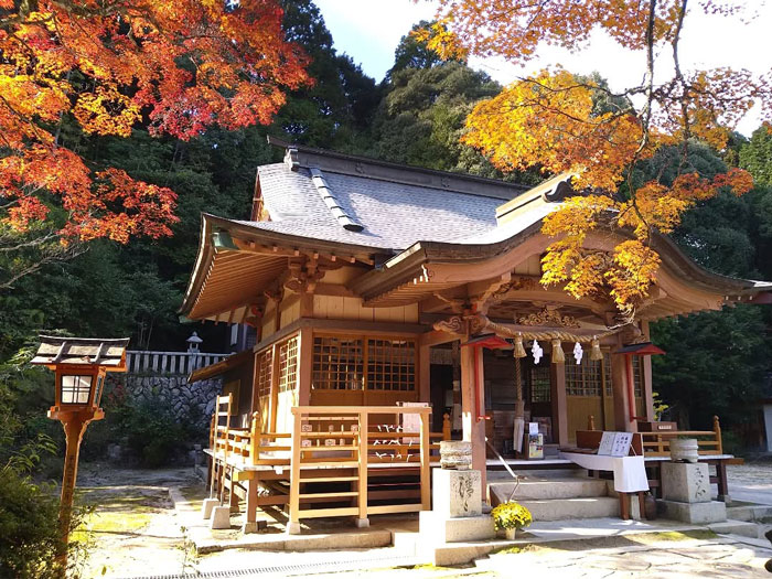 社殿と紅葉の写真