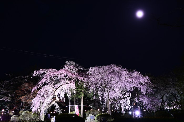 水沢公園の夜景