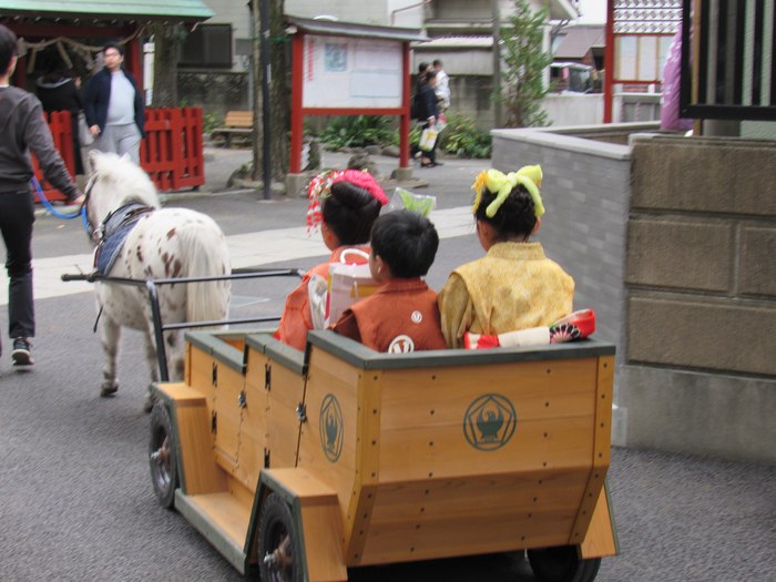 七五三のポニー乗馬