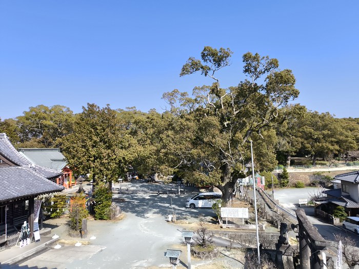 大牟田熊野神社の境内
