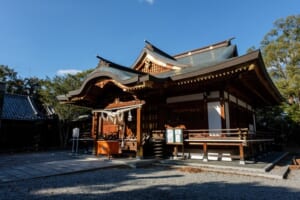 宇佐八幡宮 社殿外観