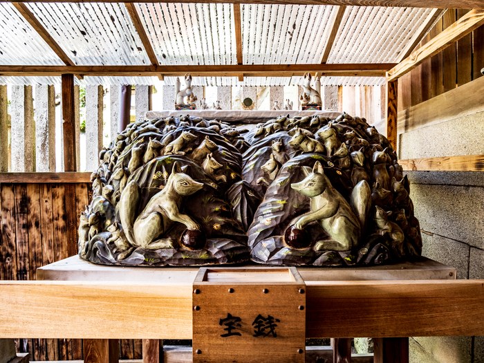白狐