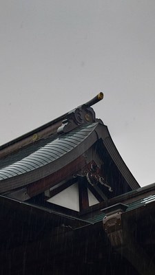 拝殿菊花