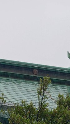本殿菊花