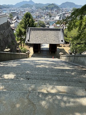 石段上からの眺め
