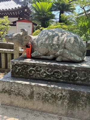 御袖天満宮のお賽銭