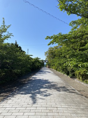 鳥居から本殿までの直線②