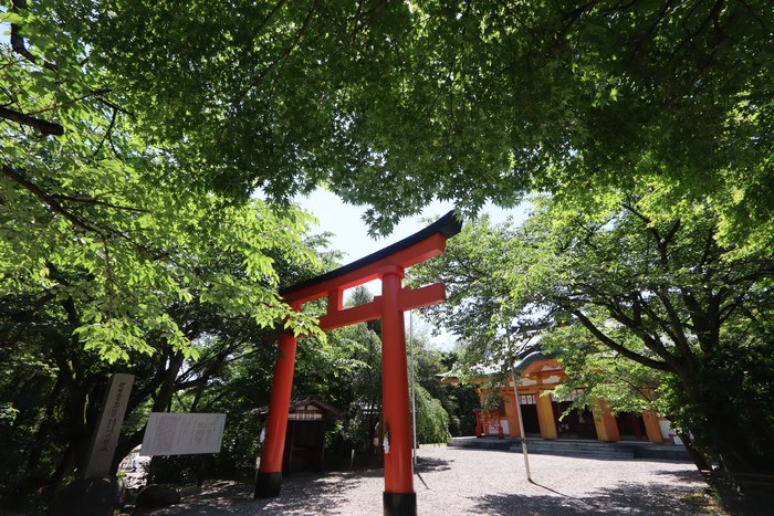 境内（夏）