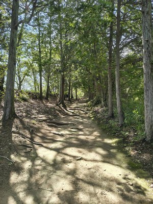 登山ルート
