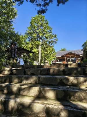 登山ルート