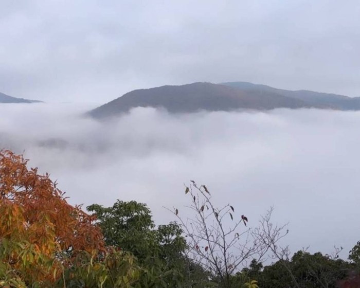 雲海