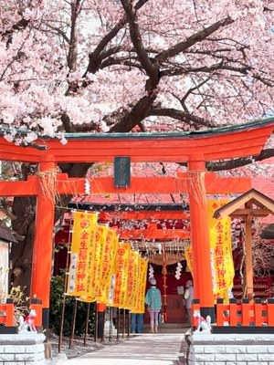廣田神社 鳥居