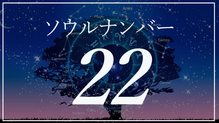 ソウルナンバー22