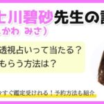 富士川碧砂は当たる？【口コミ報告】オーラ透視占いの鑑定を受ける方法