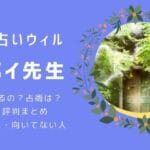 リーメイ先生はなぜ当たるの？人気の理由を口コミから調査しました | 電話占いウィル