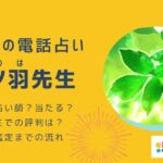 心ノ羽先生 (コノハ)って当たる？悪い評判は本当？実際に電話鑑定を受けて分かった真実を暴露！