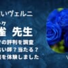 笑瑠(エミル)先生は見ていたように当たると口コミで大人気！