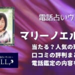 マリーノエル先生って当たるの？どんな先生なのか、口コミや評判も