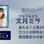 文月ミラ(フミヅキミラ)先生にはたくさんの口コミがあり、幅広い分野の相談に対応できます