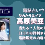 高原美亜(タカハラミイア)先生はかなり当たりますか？相談した人の口コミから調査しました！