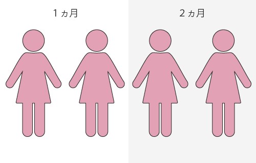 ストラッシュの回数制の仕組み