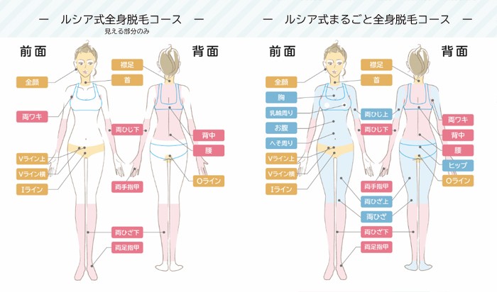 ルシアクリニックの全身脱毛範囲