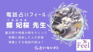 蝶 妃桜（くれはきお）先生